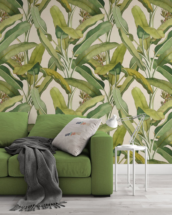Banana Palm Tropical Leaves Plants Leaf Wallpaper Wall Art