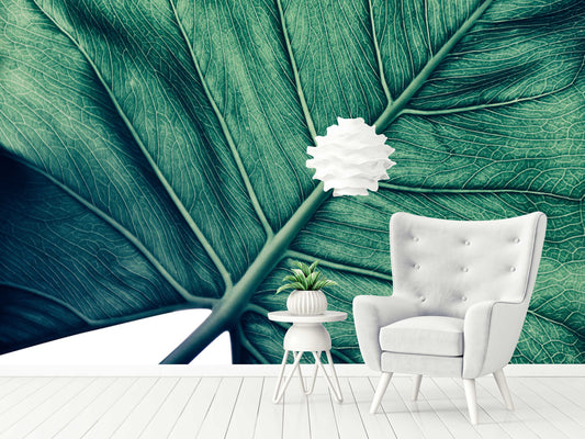 Big Green Leaf Floral Wallpaper Wall Decor Mural Art