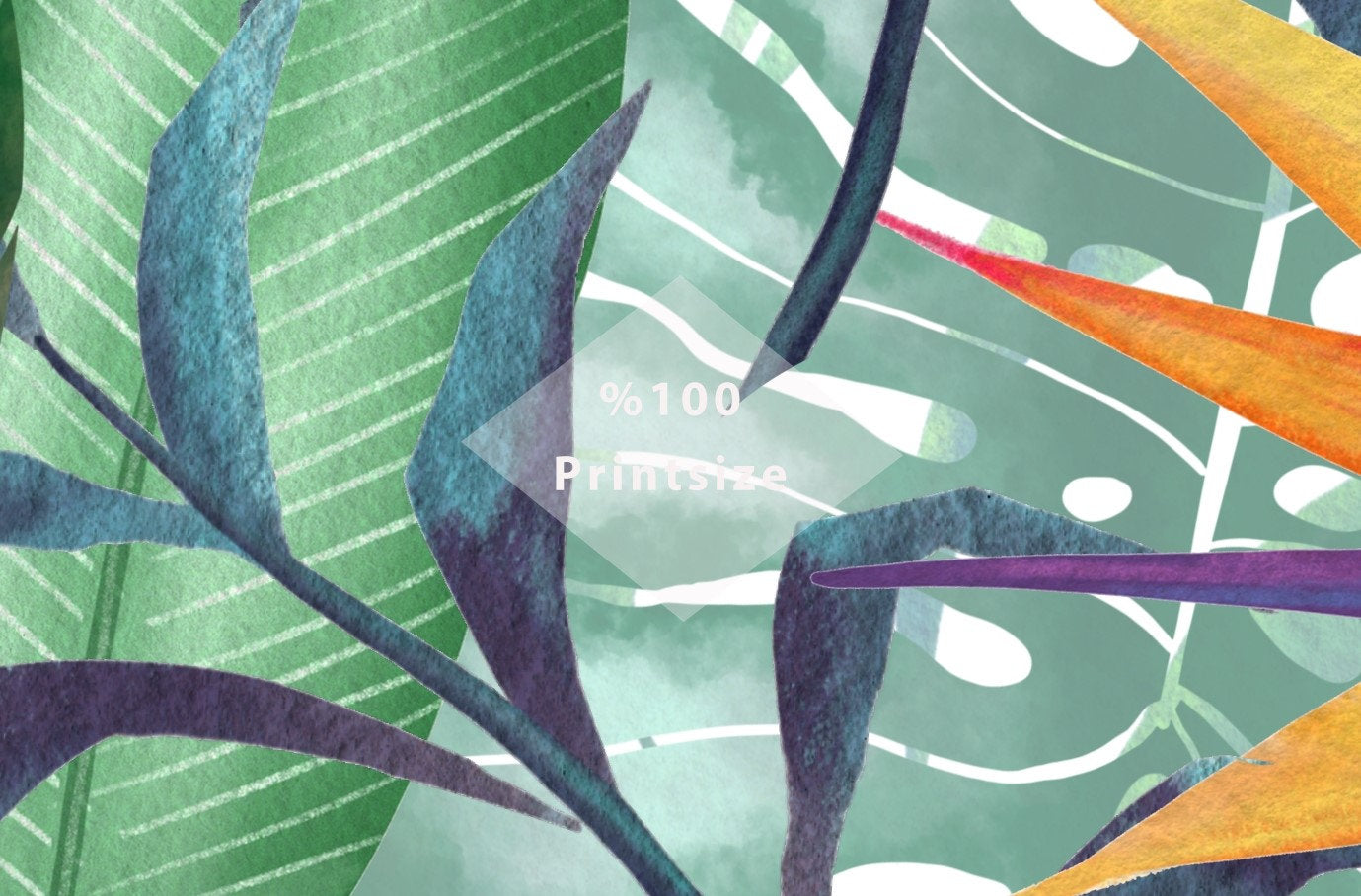 Tropical Plants Strelitzia Flower Floral Wallpaper Self Adhesive Peel and Stick Wall Sticker Wall Decoration Scandinavian Design Removable