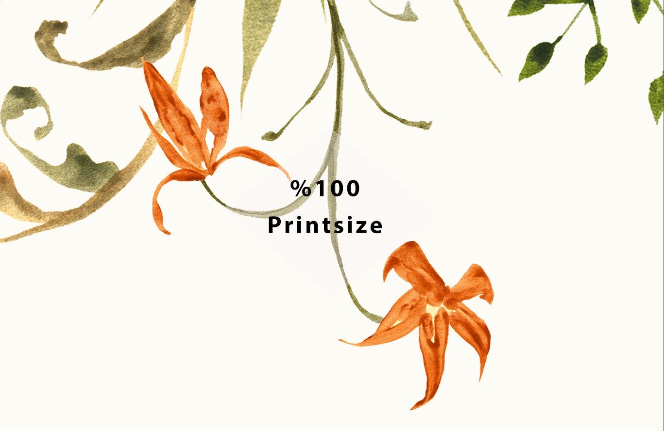 Colorful Garden Flowers Floral Background Wallpaper Vintage Self Adhesive Peel and Stick Home House Wall Decoration Removable